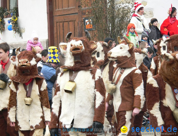 Narrenumzug: Eigeltingen, 24.01.2010