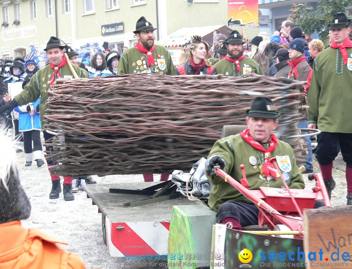 Narrenumzug: Eigeltingen, 24.01.2010