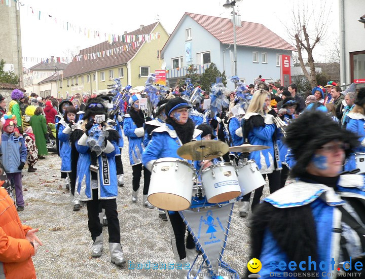 Narrenumzug: Eigeltingen, 24.01.2010