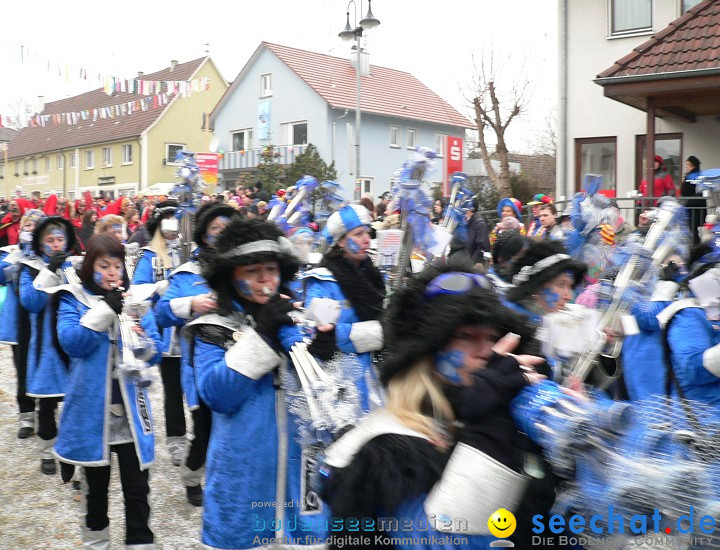 Narrenumzug: Eigeltingen, 24.01.2010