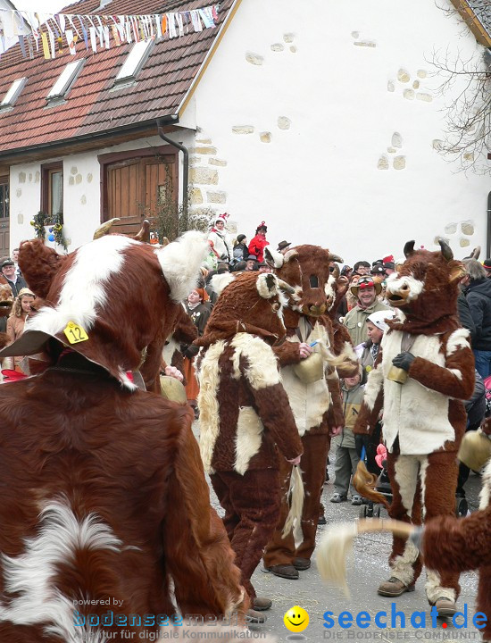 Narrenumzug: Eigeltingen, 24.01.2010