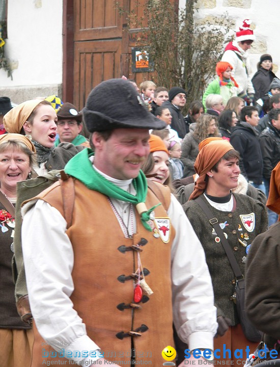 Narrenumzug: Eigeltingen, 24.01.2010