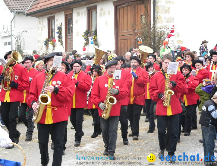 Narrenumzug: Eigeltingen, 24.01.2010