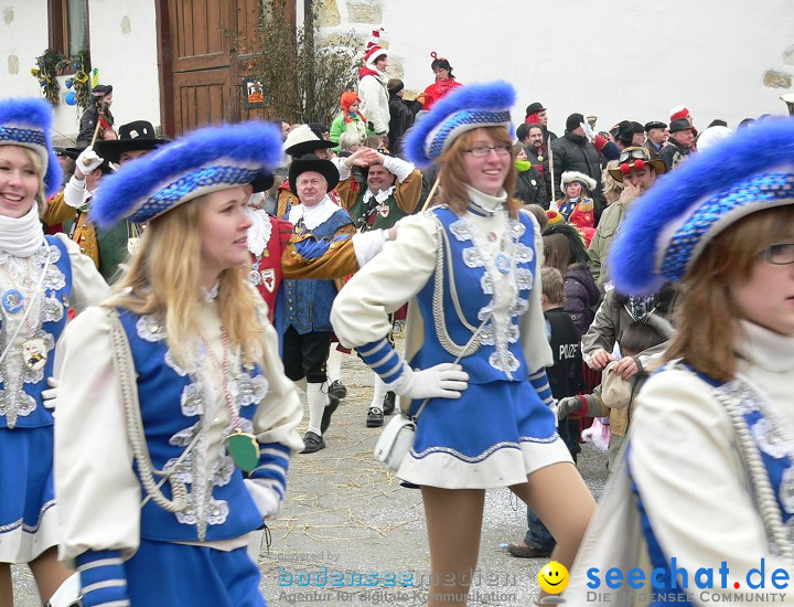 Narrenumzug: Eigeltingen, 24.01.2010