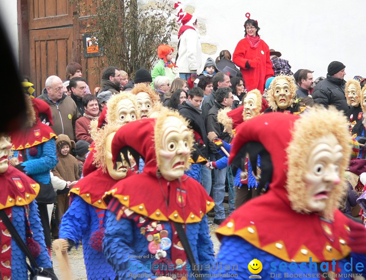 Narrenumzug: Eigeltingen, 24.01.2010