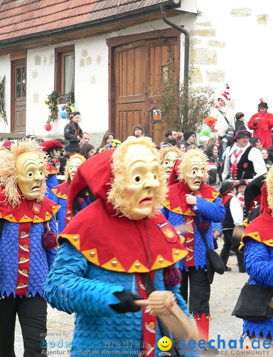 Narrenumzug: Eigeltingen, 24.01.2010