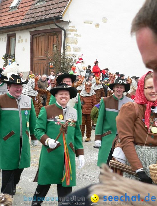 Narrenumzug: Eigeltingen, 24.01.2010