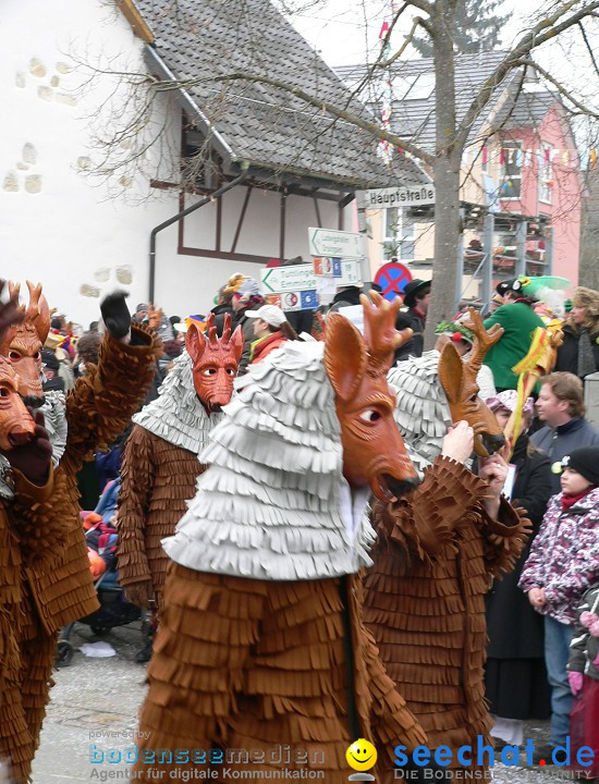 Narrenumzug: Eigeltingen, 24.01.2010