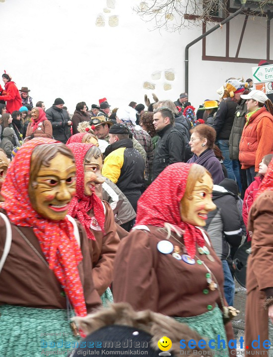 Narrenumzug: Eigeltingen, 24.01.2010