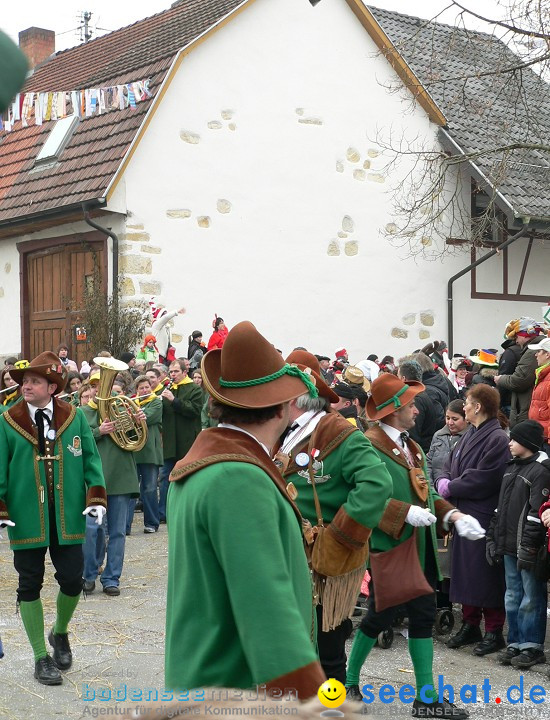 Narrenumzug: Eigeltingen, 24.01.2010