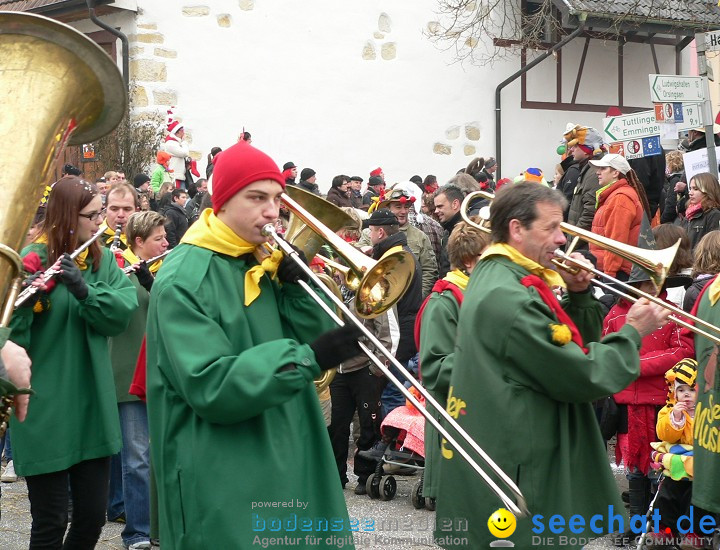 Narrenumzug: Eigeltingen, 24.01.2010