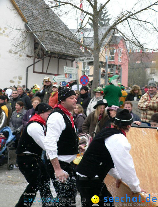 Narrenumzug: Eigeltingen, 24.01.2010