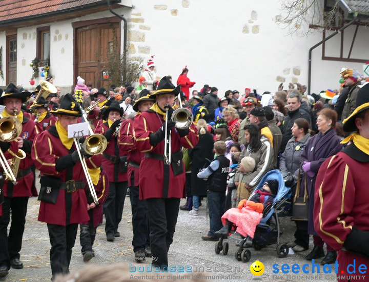 Narrenumzug: Eigeltingen, 24.01.2010