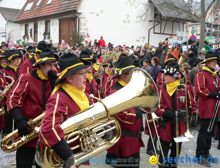 Narrenumzug: Eigeltingen, 24.01.2010