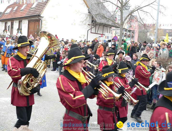 Narrenumzug: Eigeltingen, 24.01.2010