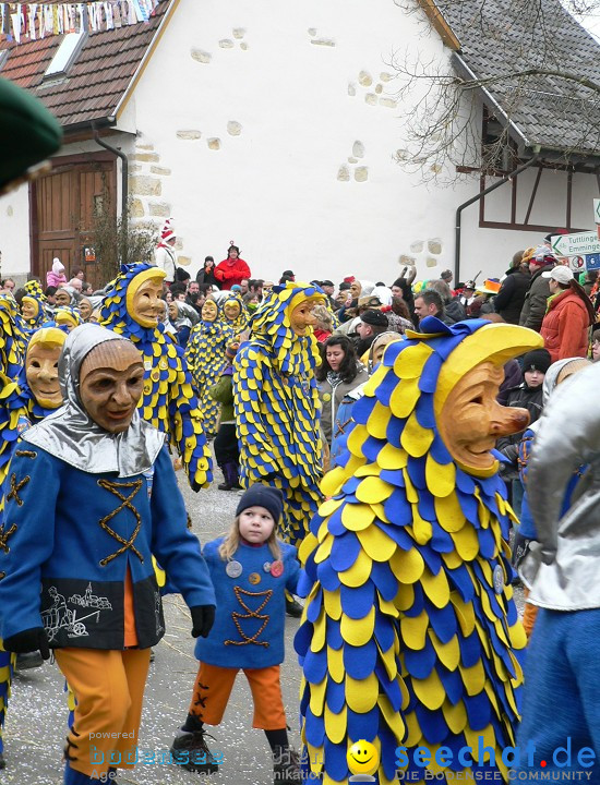 Narrenumzug: Eigeltingen, 24.01.2010