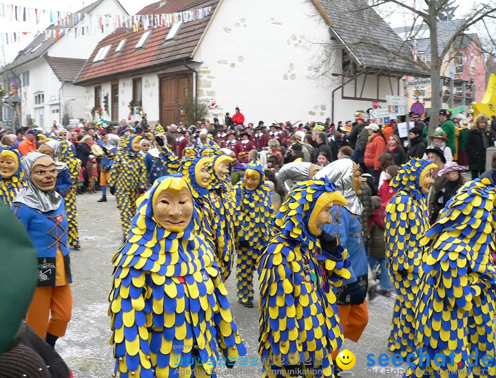 Narrenumzug: Eigeltingen, 24.01.2010