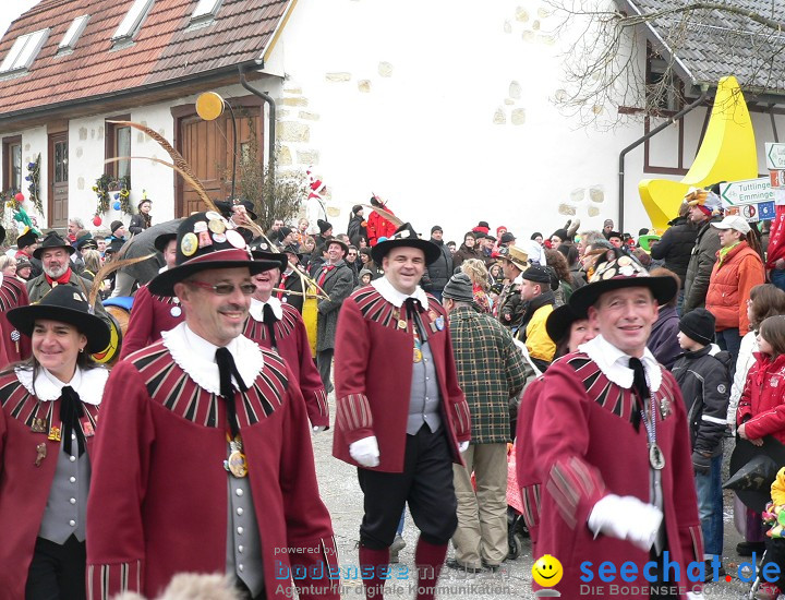 Narrenumzug: Eigeltingen, 24.01.2010