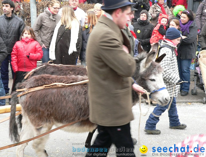 Narrenumzug: Eigeltingen, 24.01.2010