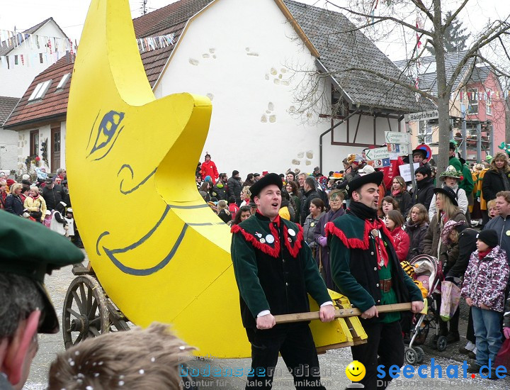 Narrenumzug: Eigeltingen, 24.01.2010