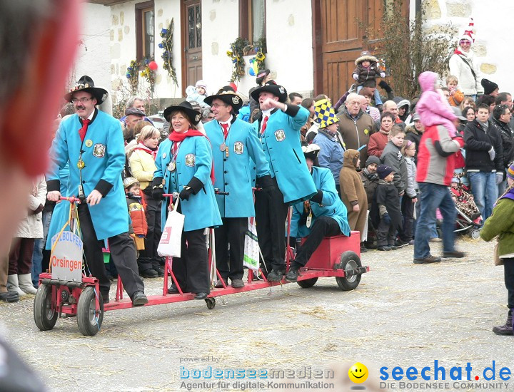 Narrenumzug: Eigeltingen, 24.01.2010