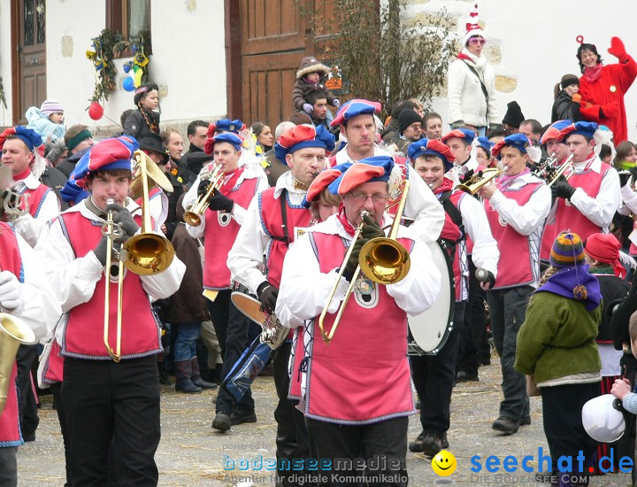 Narrenumzug: Eigeltingen, 24.01.2010