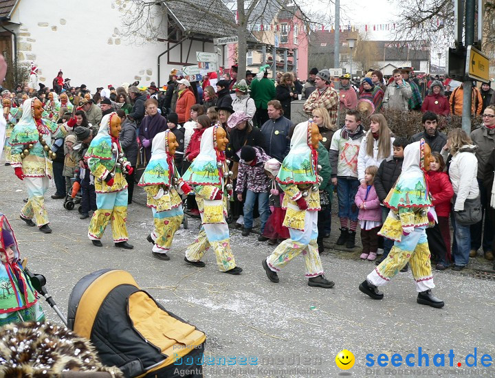 Narrenumzug: Eigeltingen, 24.01.2010