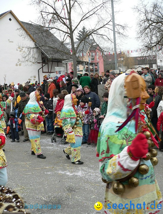 Narrenumzug: Eigeltingen, 24.01.2010