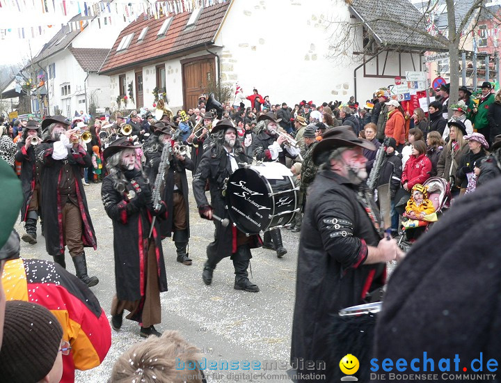 Narrenumzug: Eigeltingen, 24.01.2010