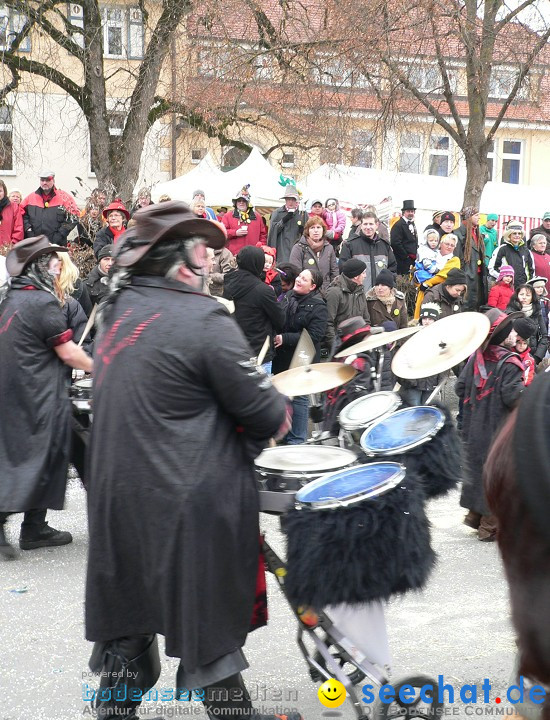 Narrenumzug: Eigeltingen, 24.01.2010