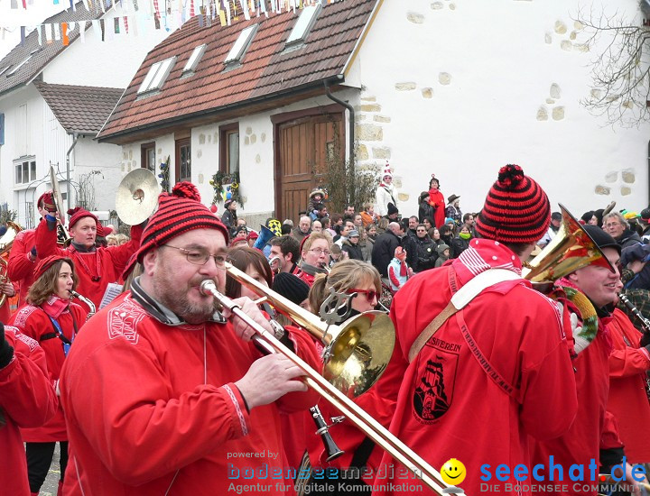 Narrenumzug: Eigeltingen, 24.01.2010