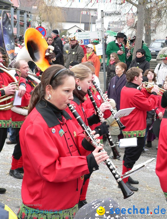 Narrenumzug: Eigeltingen, 24.01.2010