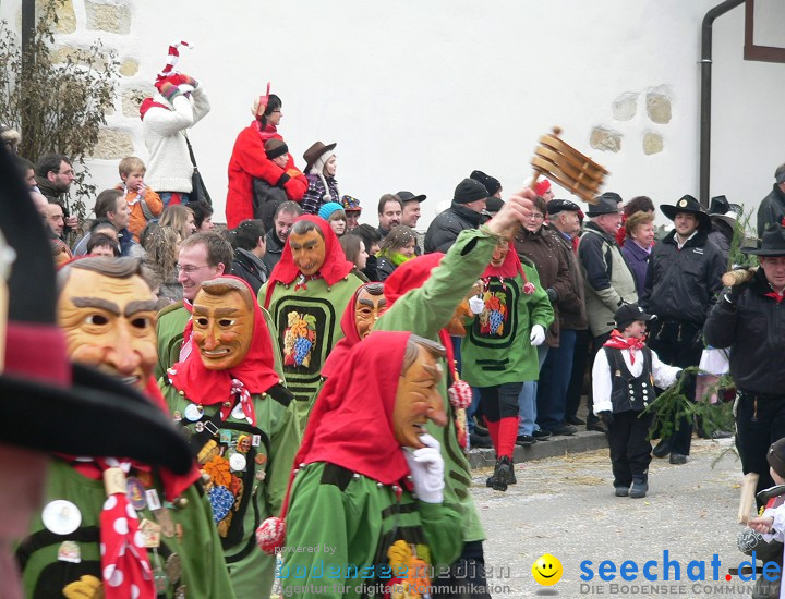 Narrenumzug: Eigeltingen, 24.01.2010