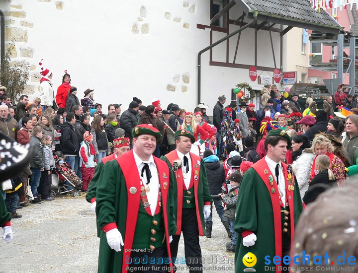 Narrenumzug: Eigeltingen, 24.01.2010