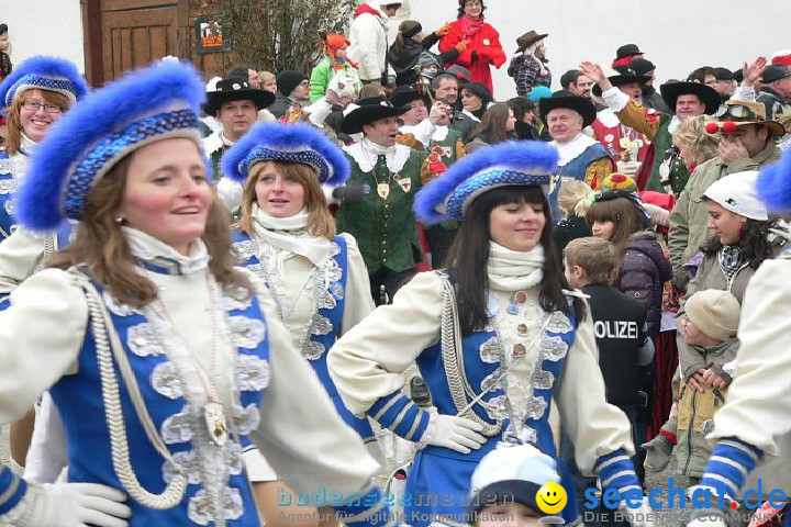 Narrenumzug: Eigeltingen, 24.01.2010