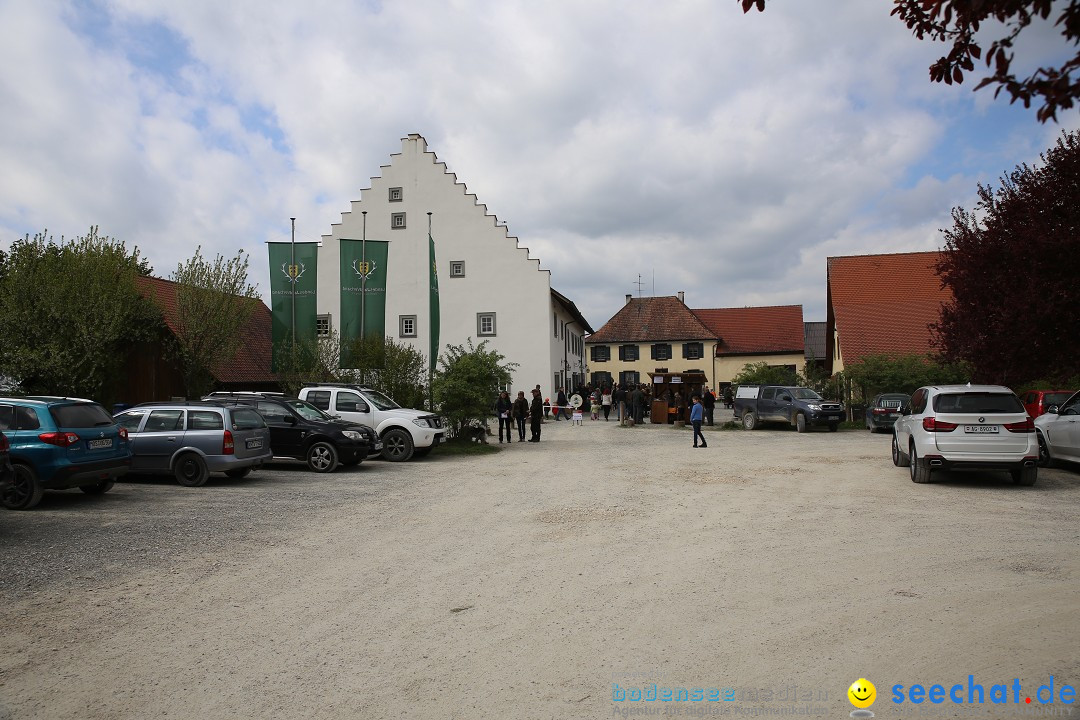 Jagdhundetag Dornsberg der Landesjagdschule: Eigeltingen, 23.04.2017