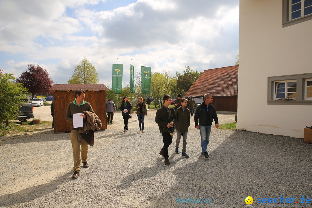 Jagdhundetag Dornsberg der Landesjagdschule: Eigeltingen, 23.04.2017