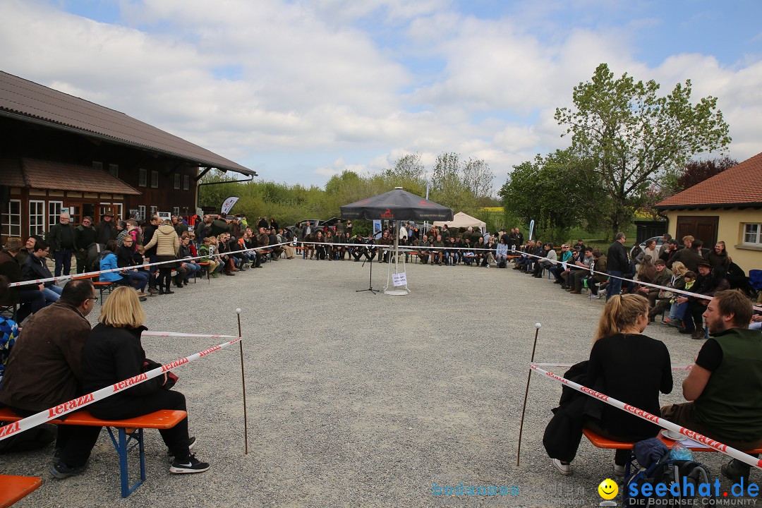 Jagdhundetag Dornsberg der Landesjagdschule: Eigeltingen, 23.04.2017