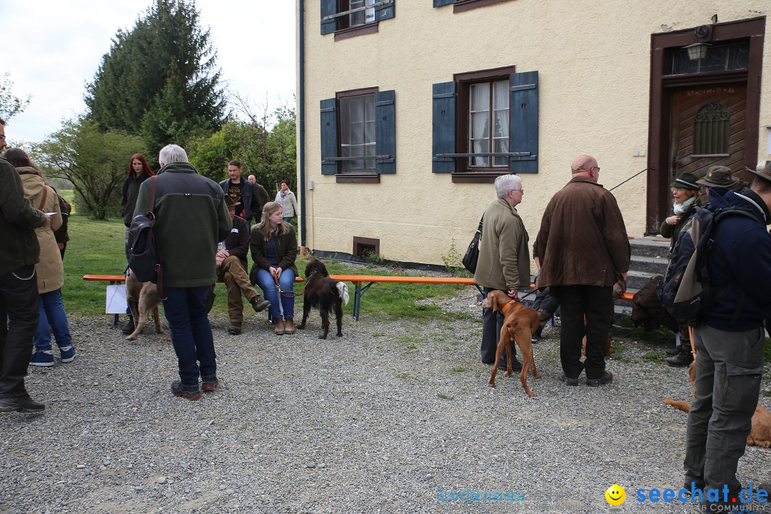 Jagdhundetag Dornsberg der Landesjagdschule: Eigeltingen, 23.04.2017