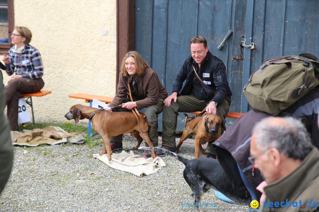 Jagdhundetag Dornsberg der Landesjagdschule: Eigeltingen, 23.04.2017