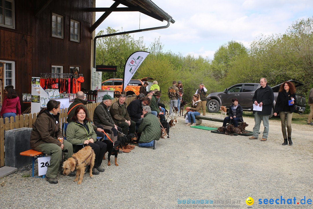 Jagdhundetag Dornsberg der Landesjagdschule: Eigeltingen, 23.04.2017