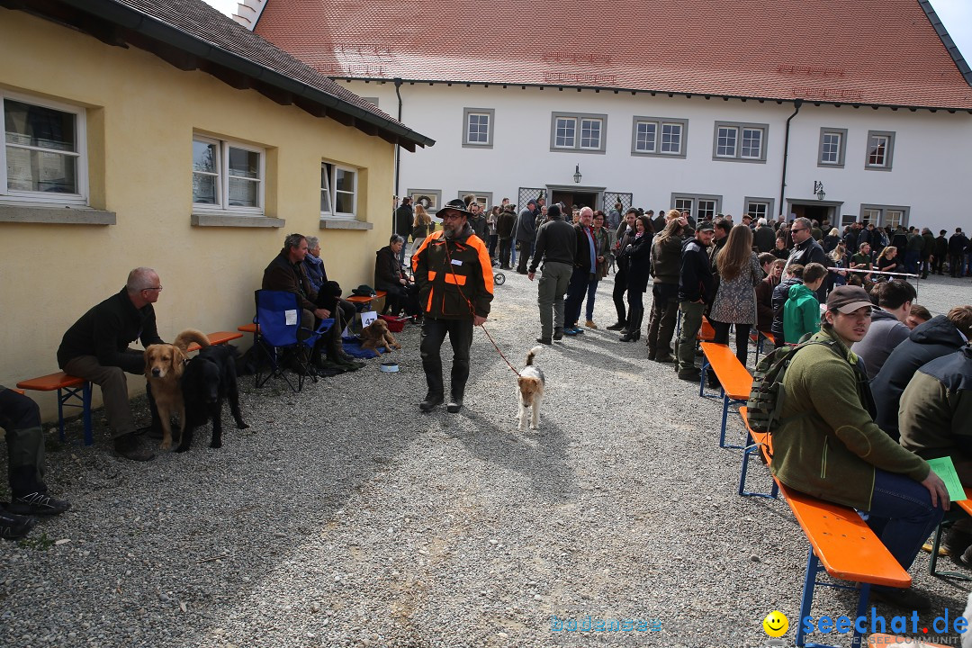 Jagdhundetag Dornsberg der Landesjagdschule: Eigeltingen, 23.04.2017