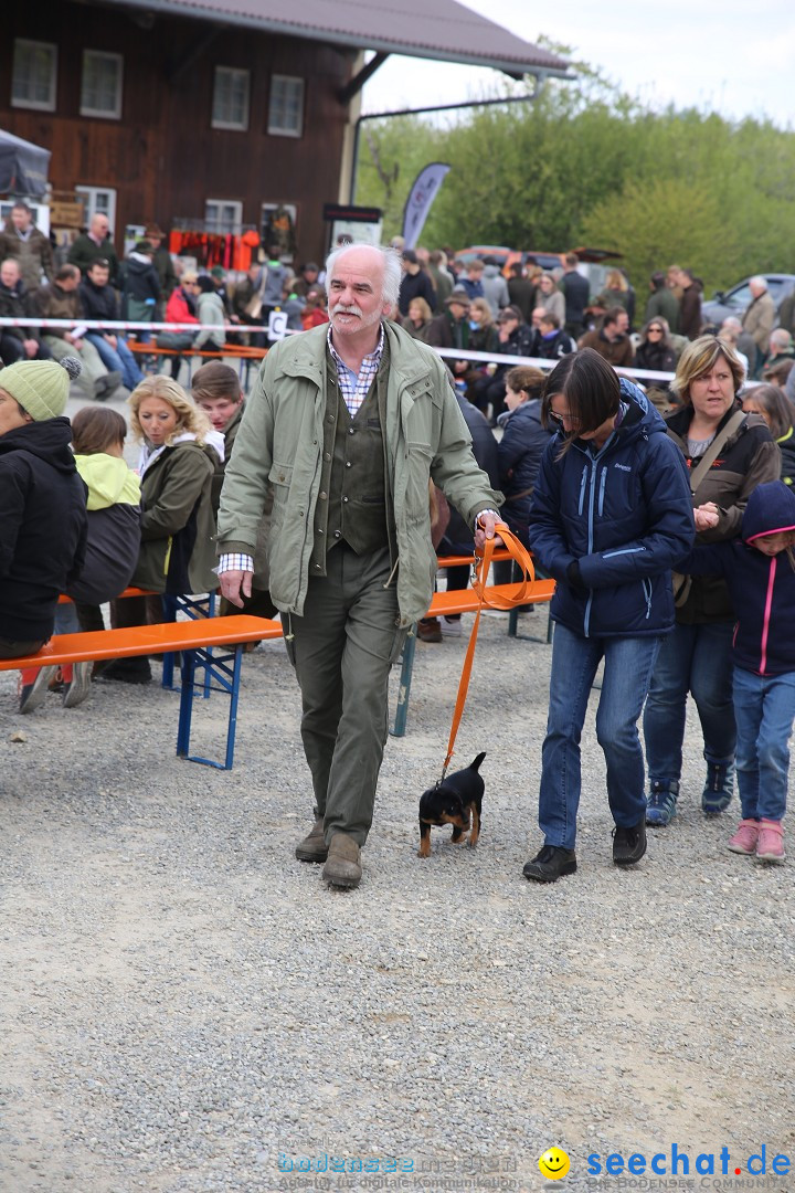 Jagdhundetag Dornsberg der Landesjagdschule: Eigeltingen, 23.04.2017