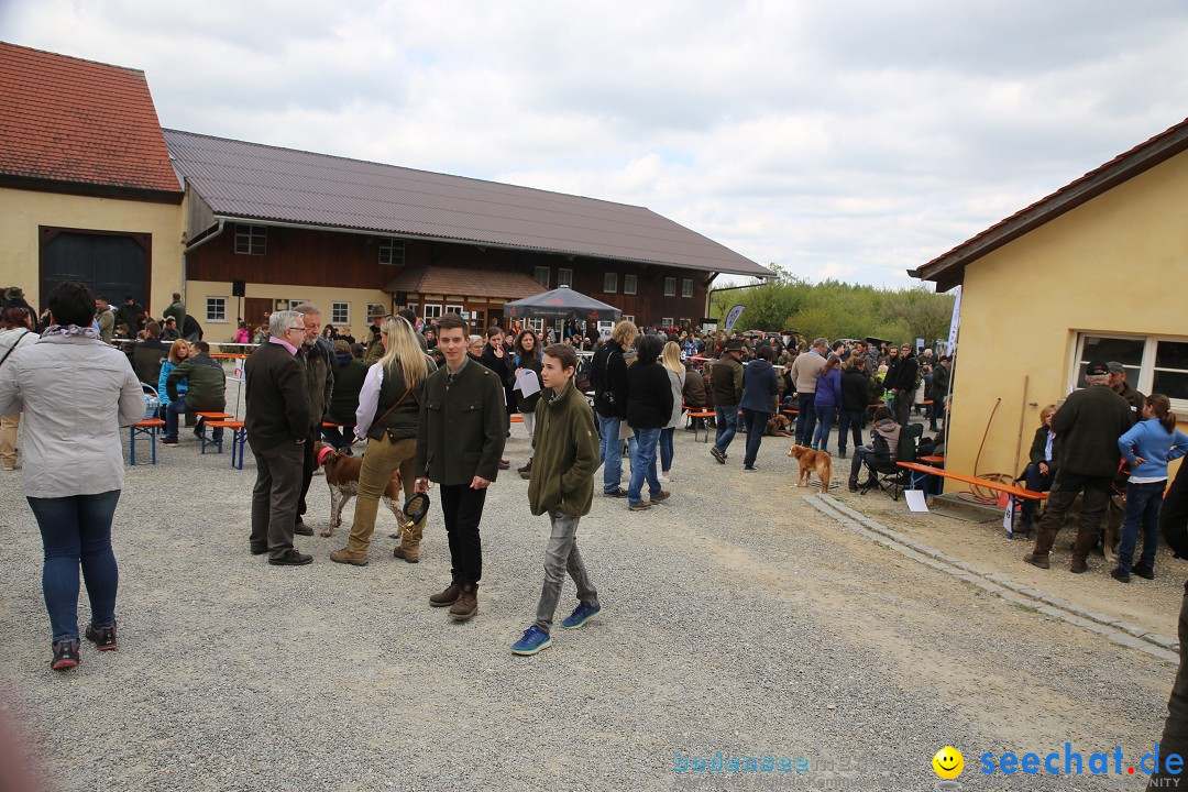 Jagdhundetag Dornsberg der Landesjagdschule: Eigeltingen, 23.04.2017