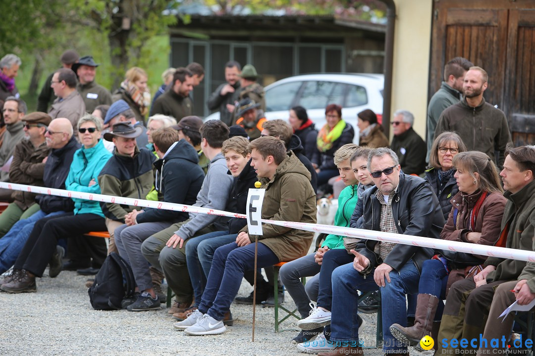 Jagdhundetag Dornsberg der Landesjagdschule: Eigeltingen, 23.04.2017