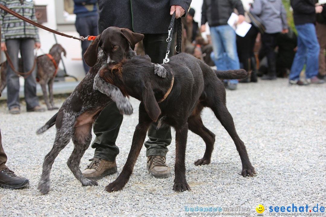 Jagdhundetag Dornsberg der Landesjagdschule: Eigeltingen, 23.04.2017