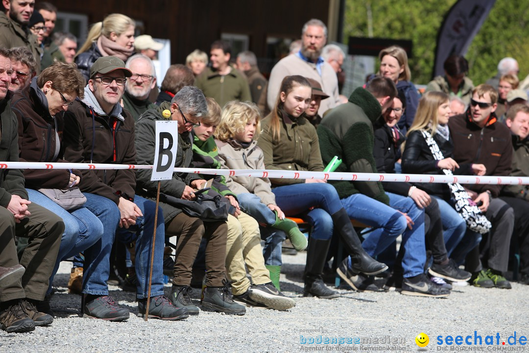 Jagdhundetag Dornsberg der Landesjagdschule: Eigeltingen, 23.04.2017