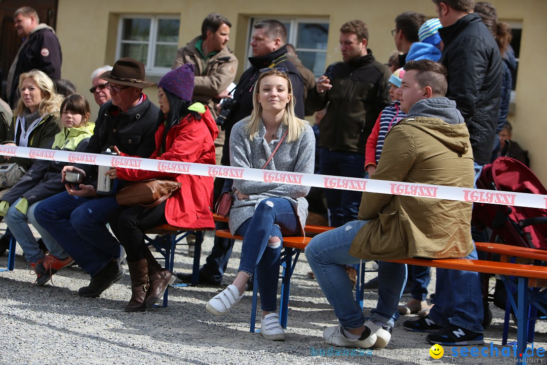 Jagdhundetag Dornsberg der Landesjagdschule: Eigeltingen, 23.04.2017