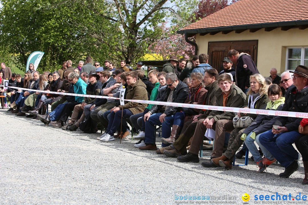 Jagdhundetag Dornsberg der Landesjagdschule: Eigeltingen, 23.04.2017