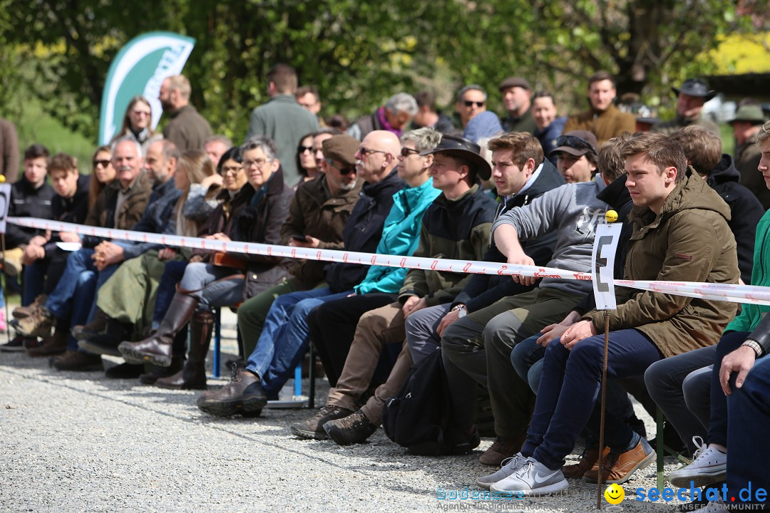 Jagdhundetag Dornsberg der Landesjagdschule: Eigeltingen, 23.04.2017